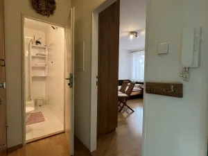 Pronájem bytu 1+kk, Třeboň - Třeboň II, U Francouzů, 28 m2