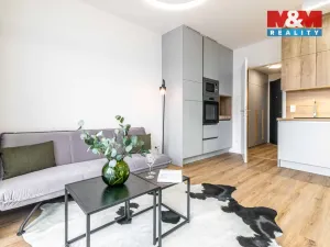 Pronájem bytu 1+kk, Kladno - Dubí, Ke křížku, 28 m2