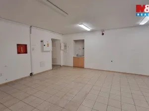 Pronájem obchodního prostoru, Český Těšín, Ostravská, 230 m2