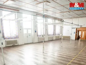 Pronájem obchodního prostoru, Hradešice, 345 m2
