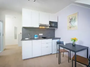 Pronájem bytu 1+kk, Praha - Žižkov, U kněžské louky, 25 m2