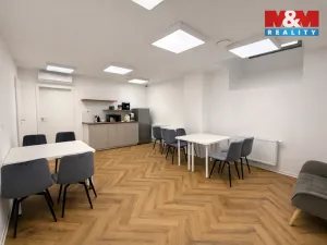 Pronájem komerční nemovitosti, Praha - Nové Město, Opletalova, 16 m2