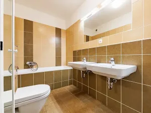 Prodej bytu 3+kk, Olomouc, Aloise Rašína, 82 m2