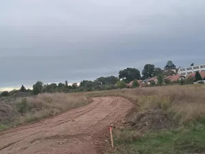 Prodej pozemku pro bydlení, Dašice, Pod Lipami, 733 m2