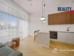 Pronájem bytu 1+kk, Brno, 35 m2