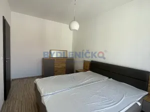 Pronájem bytu 2+kk, České Budějovice, B. Smetany, 40 m2