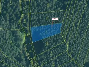 Dražba lesa, Hosty, 1803 m2