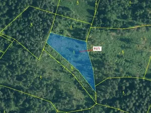 Dražba lesa, Pačejov, 3251 m2