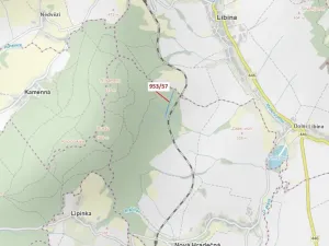 Dražba lesa, Nová Hradečná, 6750 m2