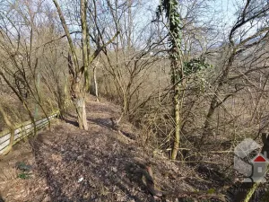 Prodej zahrady, Brno, Turistická, 207 m2