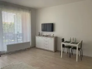 Pronájem bytu 1+kk, Praha - Dejvice, Lindleyova, 37 m2