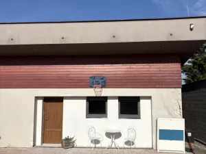 Pronájem bytu 2+kk, Mladá Boleslav - Mladá Boleslav III, Šámalova, 58 m2