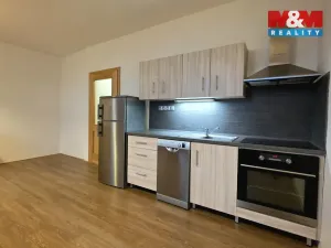 Pronájem bytu 1+kk, Čermná, 42 m2