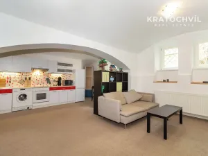 Prodej bytu 1+kk, Praha - Karlín, Březinova, 50 m2