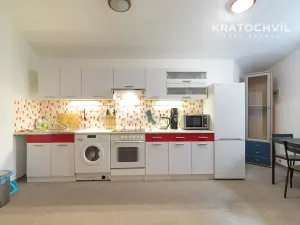 Prodej bytu 1+kk, Praha - Karlín, Březinova, 50 m2