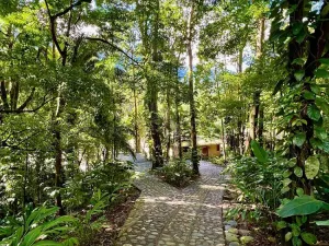 Prodej rodinného domu, La Ceiba, Honduras, 4080 m2