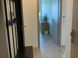 Prodej bytu 2+kk, Praha, Hornoměcholupská, 57 m2