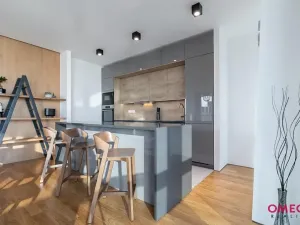 Pronájem bytu 3+kk, Praha - Krč, Milevská, 163 m2
