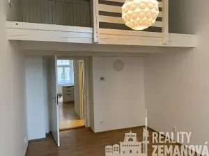 Pronájem bytu 3+kk, Praha - Vinohrady, Slezská, 73 m2