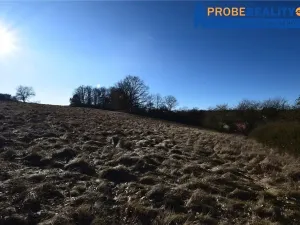 Prodej pozemku pro bydlení, Mirotice, 9991 m2