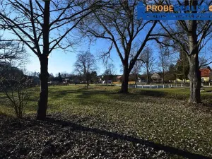 Prodej pozemku pro bydlení, Mirotice, 9991 m2