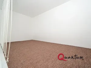 Pronájem bytu 2+kk, Praha - Podolí, Podolské nábřeží, 50 m2