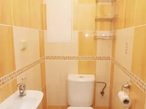 Pronájem bytu 2+1, Nová Role, Svobodova, 54 m2