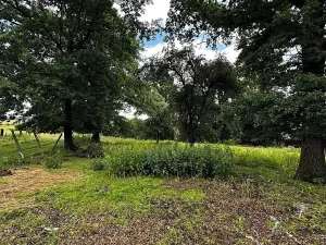 Prodej pozemku pro bydlení, Čížkov, 3589 m2