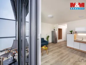 Prodej bytu 1+kk, České Budějovice - České Budějovice 6, Chelčického, 32 m2