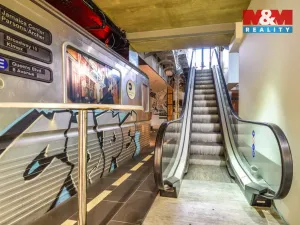 Pronájem obchodního prostoru, Ostrava - Hrabůvka, Horní, 250 m2