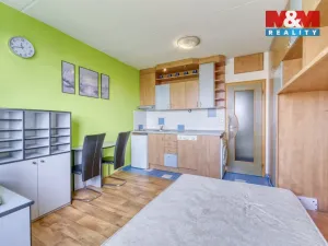 Prodej bytu 1+kk, Plzeň - Lobzy, Sousedská, 20 m2