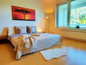 Pronájem bytu 1+kk, Brno, Šemberova, 51 m2