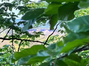 Prodej chaty, Mladeč, 35 m2