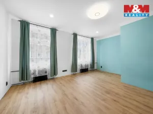 Prodej bytu 3+1, Ústí nad Labem - Ústí nad Labem-centrum, Resslova, 99 m2