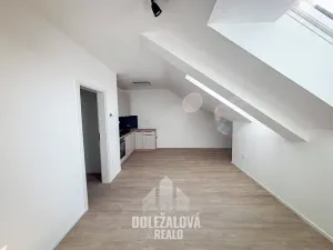 Pronájem bytu 1+kk, Třešť, Wolkerova, 38 m2