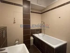 Pronájem bytu 2+kk, České Budějovice, B. Smetany, 40 m2