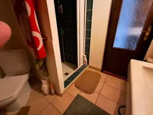 Prodej chalupy, Vysoké Veselí, 290 m2