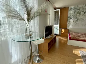 Prodej bytu 1+1, Praha, U plynárny, 37 m2