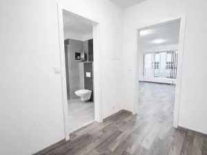 Pronájem bytu 1+kk, Liberec, U Nisy, 38 m2