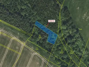 Dražba lesa, Čestín, 557 m2