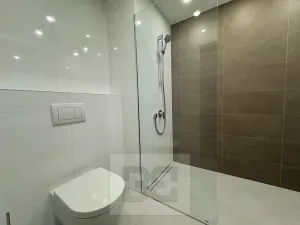 Pronájem bytu 1+kk, Brno, Koliště, 23 m2