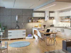 Pronájem bytu 2+kk, Praha - Žižkov, Olšanská, 69 m2