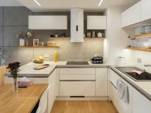 Pronájem bytu 2+kk, Praha - Žižkov, Olšanská, 69 m2