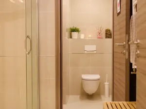 Pronájem bytu 2+kk, Praha - Žižkov, Olšanská, 69 m2