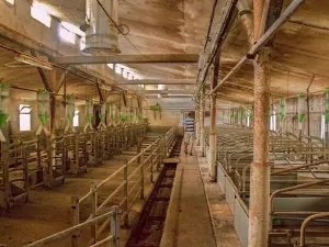 Prodej zemědělského objektu, Třešovice, 1059 m2