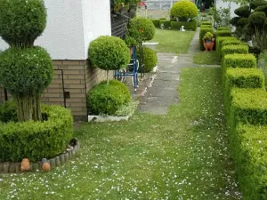 Prodej chaty, Cheb, 32 m2