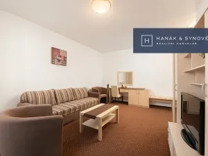 Pronájem bytu 2+1, Brno, Anenská, 52 m2