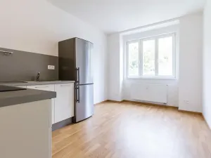Pronájem bytu 1+1, Praha - Smíchov, Podbělohorská, 45 m2