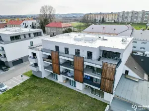 Pronájem bytu 1+kk, Olomouc, Věry Pánkové, 33 m2