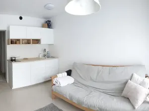 Prodej bytu 1+kk, Rosice, Na Vyhlídce, 42 m2